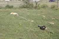 LOC Cyclotron - Launch