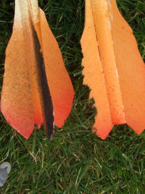 Dr. Zooch Titan IIIc