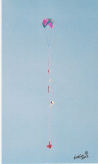 (Scratch) Gravity Kills